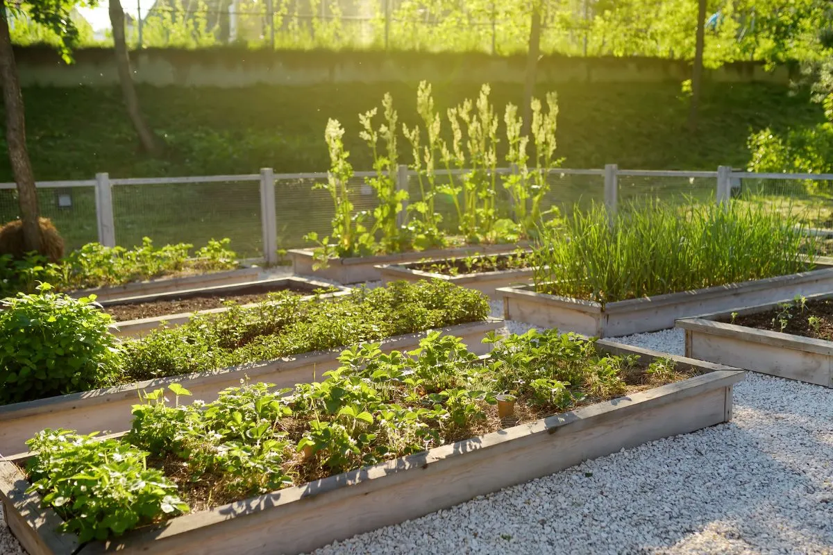 Interactive garden bed design in the planner