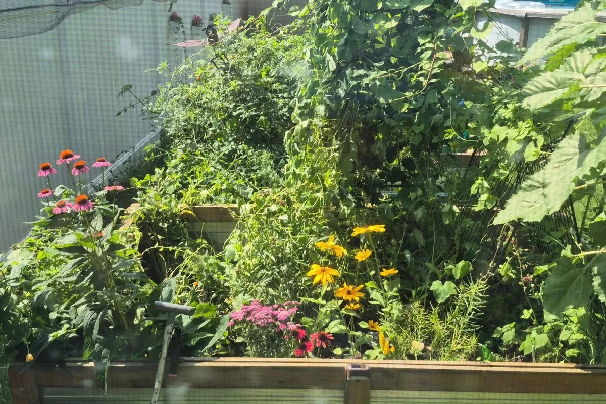 Planned garden layout in Flourishing Plants