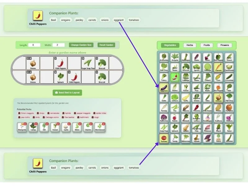 Companion planting suggestions