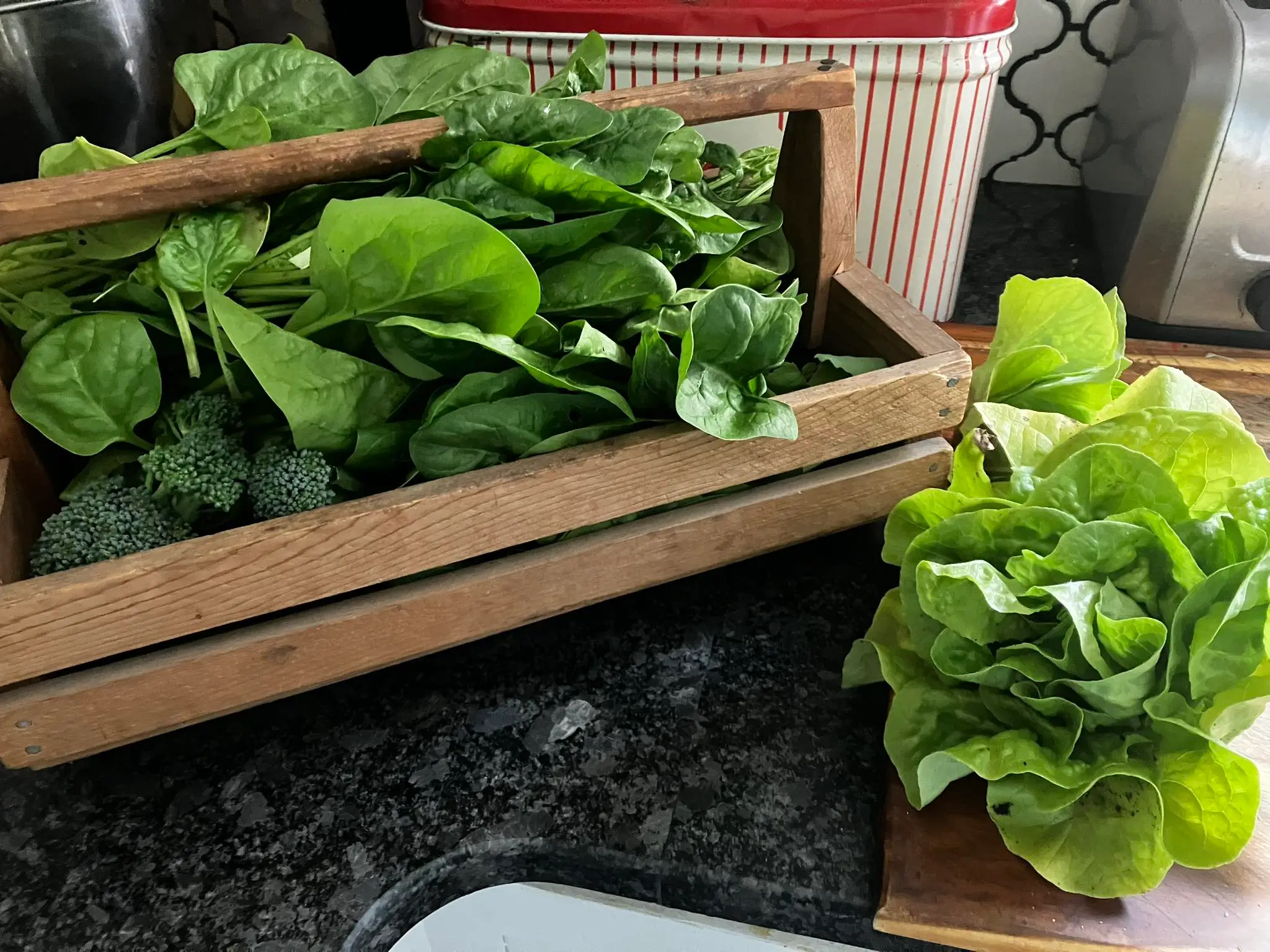 Interactive garden design on screen