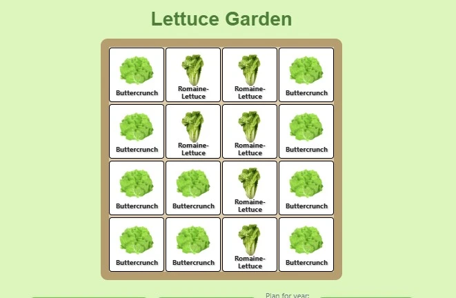 Companion planting in the garden