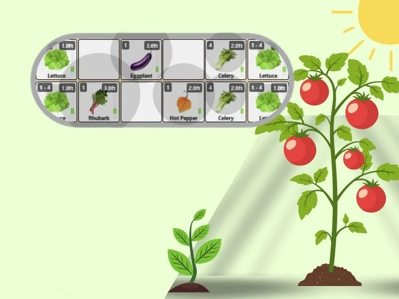 Sun and shade in the garden