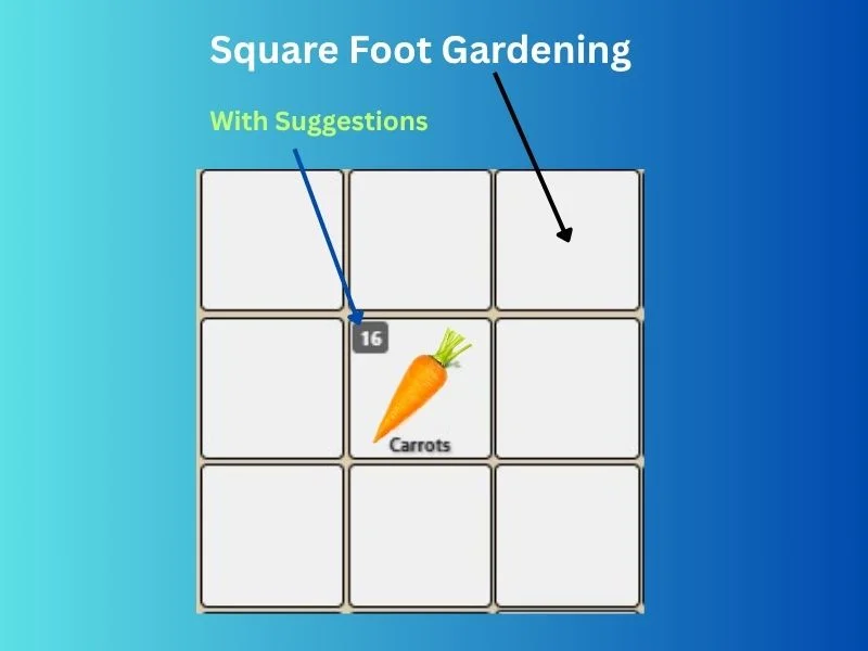 Square foot gardening layout showing efficient space utilization