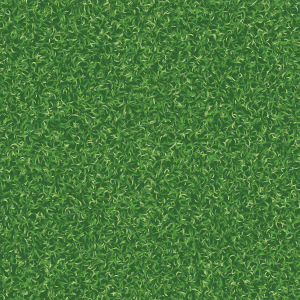 Grass