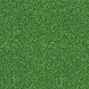 Grass