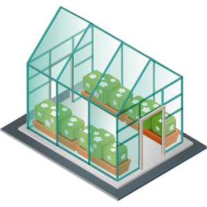 Greenhouse