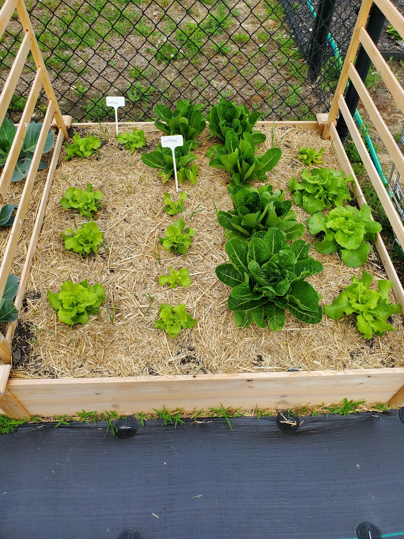 Garden layout planning