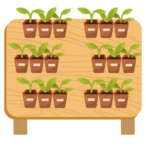 Seedling Nursery