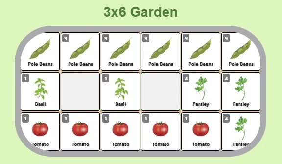 Raised bed with young transplants