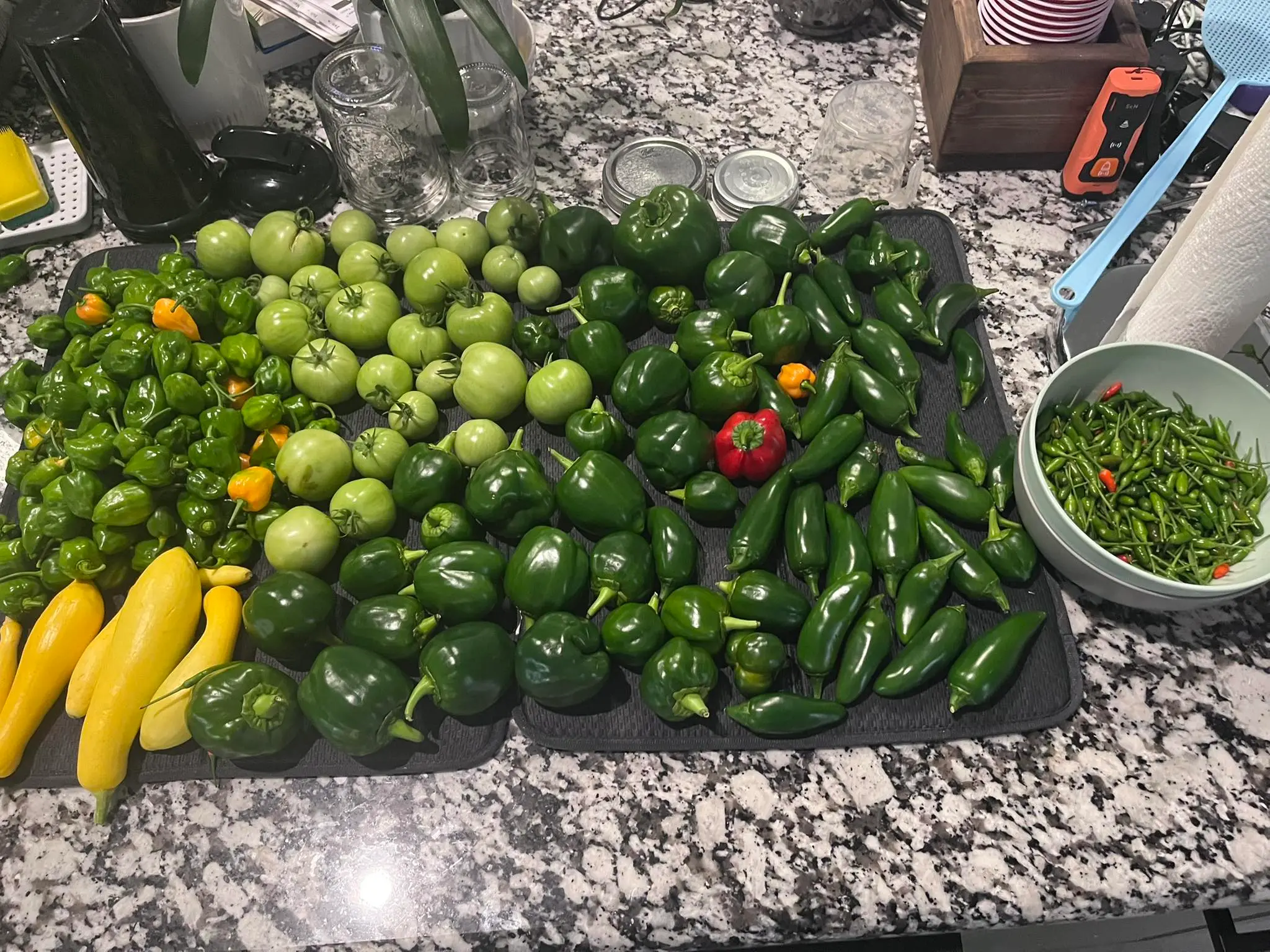 Planting information and guidance