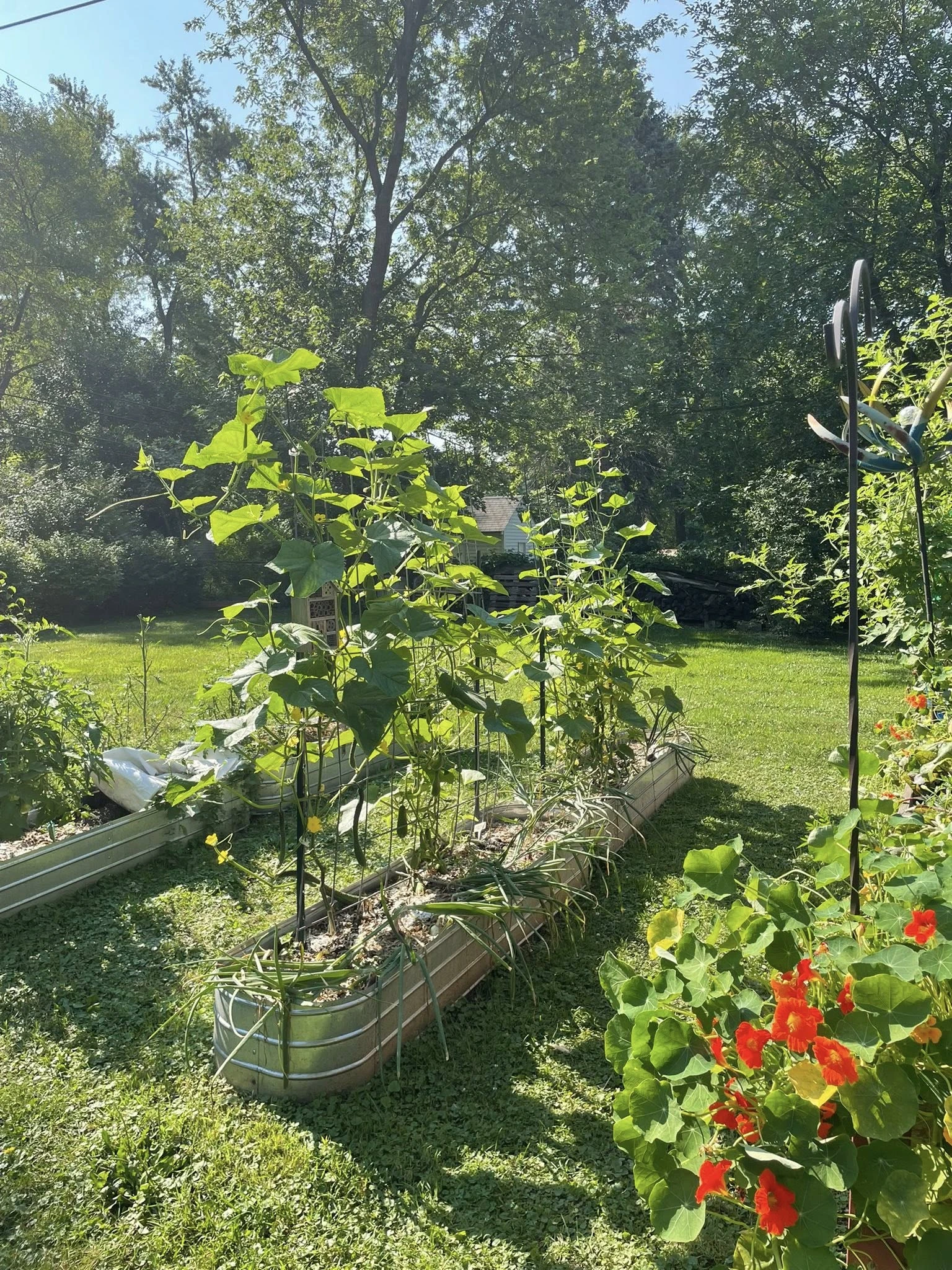 Sun and shade in the garden